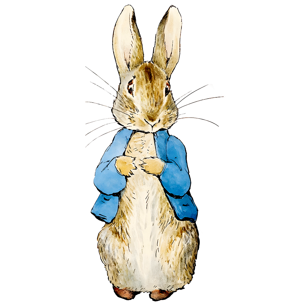 Peter Rabbit Cutout 4ft x 2ft
