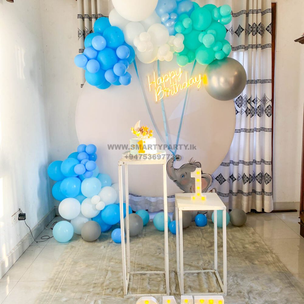 Baby Elephant Theme 1st Birthday Boy